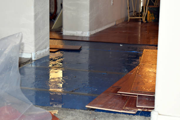 Professional Burst Pipe Cleanup technician working in Winchester, NH